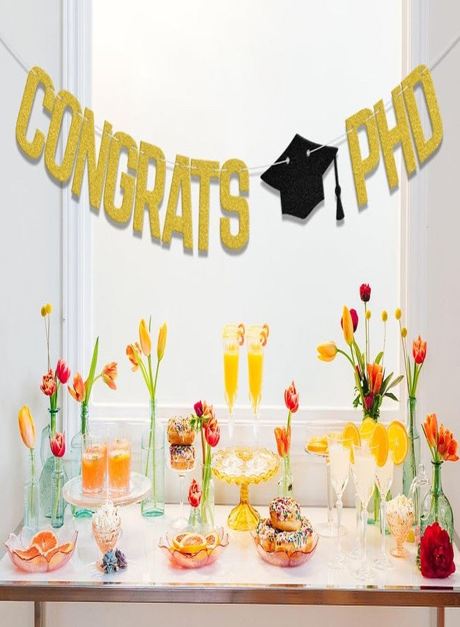 WFKLDF Congrats PhD Banner PhD Graduation Banner PhD Graduation Decorations Class of 2025 Decorations Congrats Doctor Party Decor Supplies - Image 5